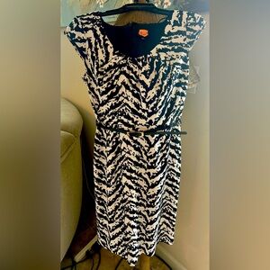 Adrianna Papell dress size 8